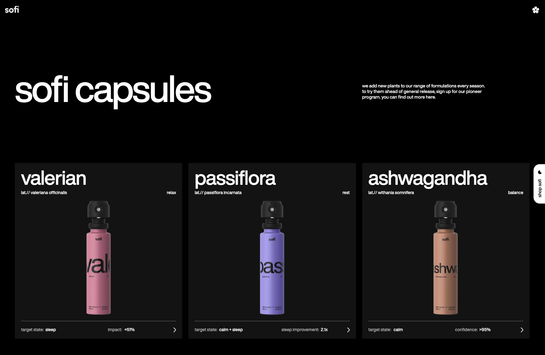 Web design 7